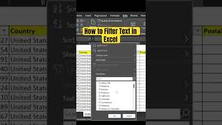 MS Excel - How to Filter Text in Excel [Need 2 Know] #excel