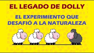 El legado de Dolly: El Experimento que Desafió la Naturaleza. #Clonación #OvejaDolly #Biotecnología