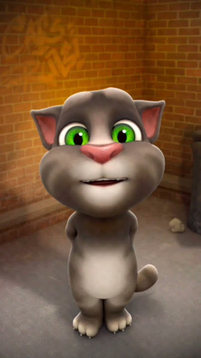 Assalamualaikum Ao Ji #shortsfeed #cat #assalamualaikum