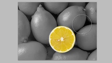 Photoshop CS5 Tutorial : Color Splash