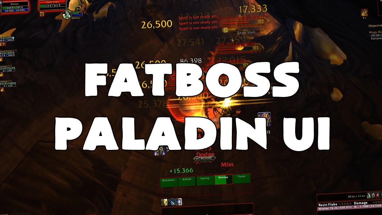 dps meaning Loz's UI - Paladin Nimtaz Mists of Pandaria UI - Patch 5.2/5.3