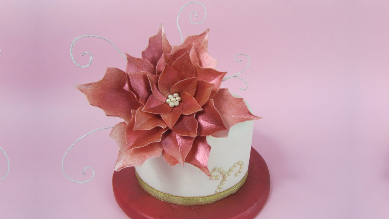 Stella Di Natale Pdz.Stella Di Natale In Wafer Paper Ostia Super Facile Youtube