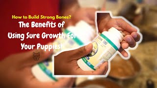 How to use Sure grow 100!!!! Build strong bones in your puppy / dog!!!