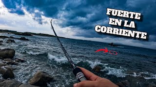 CRÓNICA de un DESASTRE | Pesca SPINNING en GALICIA | ÚLTIMO VLOG...