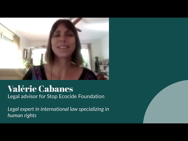 Valérie Cabanes on the proposed definition of Ecocide Law