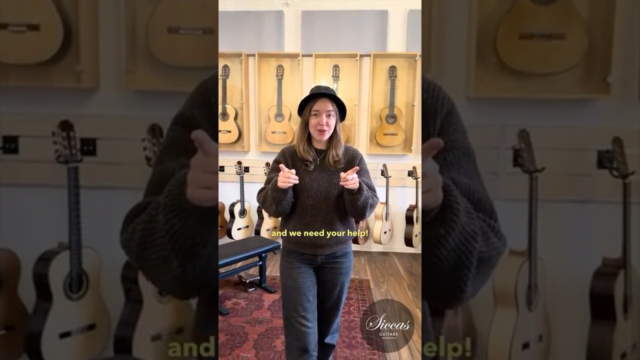 🚨 Мы ищем сотрудников! Продавец-консультант в Siccas Guitars 🎸