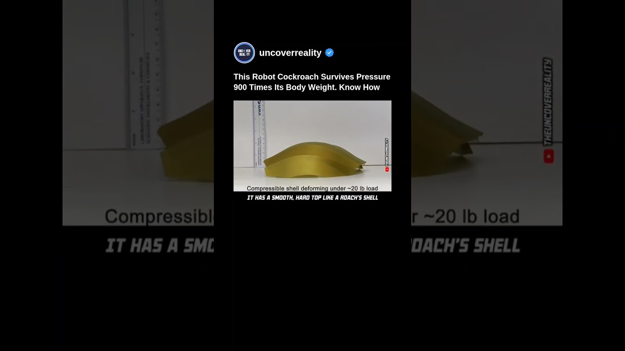 Robotic Cockroach Survives Pressure 900 Times Its Bodyweight. You Won't Believe How 