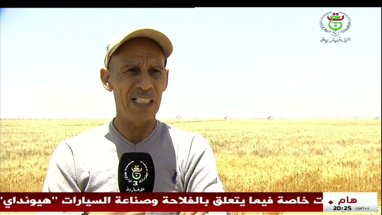 المنيعة | انطلاق موسم الحصاد تفاؤل بموسم فلاحي وافر وسط تسخير كافة الامكانات