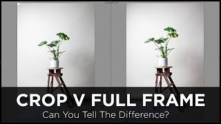 Full Frame vs Crop Sensor Photography  - Can You Tell The Difference?