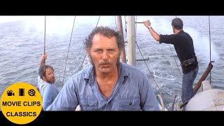 Jaws (1975) - The shark pursues the Orca