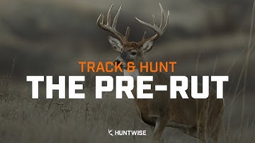 How to Track & Hunt the Pre-Rut