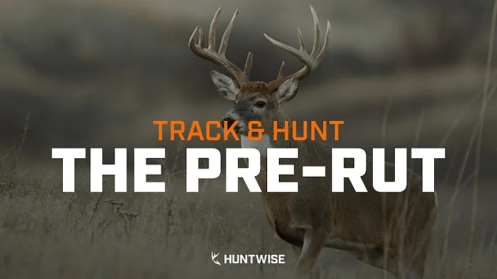 How to Track & Hunt the Pre-Rut
