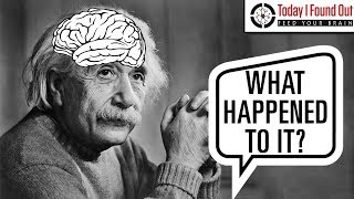 Stealing Einstein's Brain