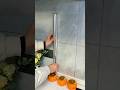 Transparent Wall Protector Film #shorts #gadgets #wallsticker #products