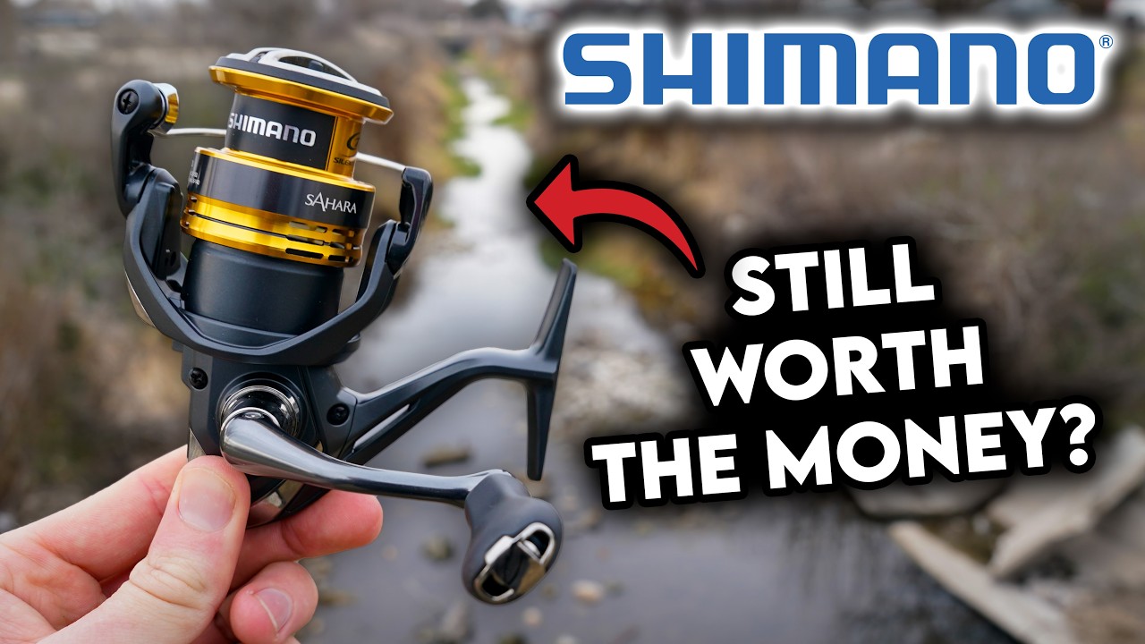 Полный обзор катушки Shimano Sahara FJ: Переоценена ли эта катушка?