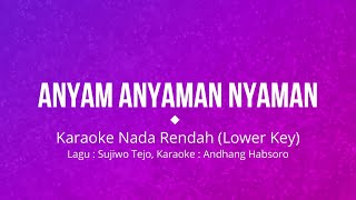 Download Lagu Anyam Anyaman Nyaman (Karaoke Nada Rendah) MP3