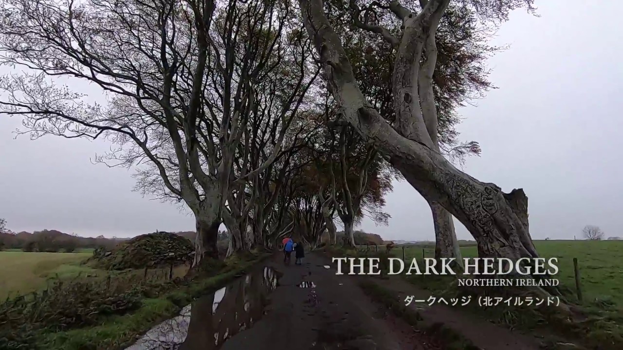 The Dark Hedges ダークヘッジ Youtube