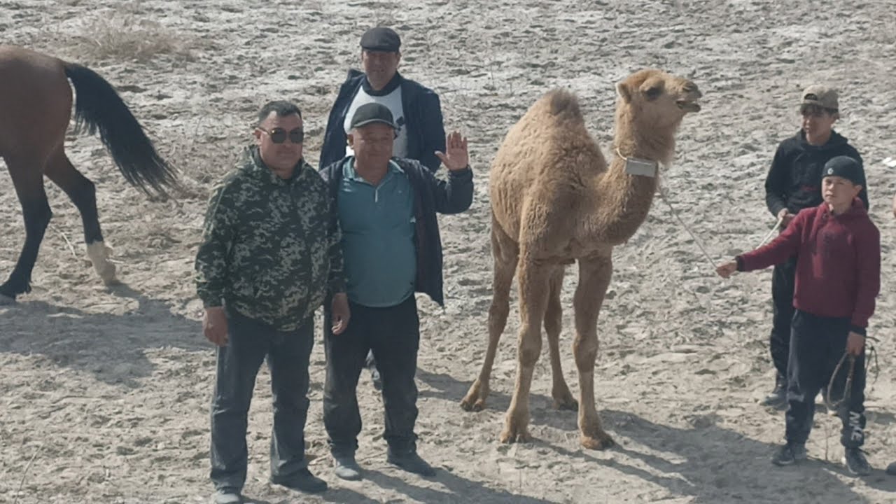 1- апрель 2025ж Қараөзек бәйге