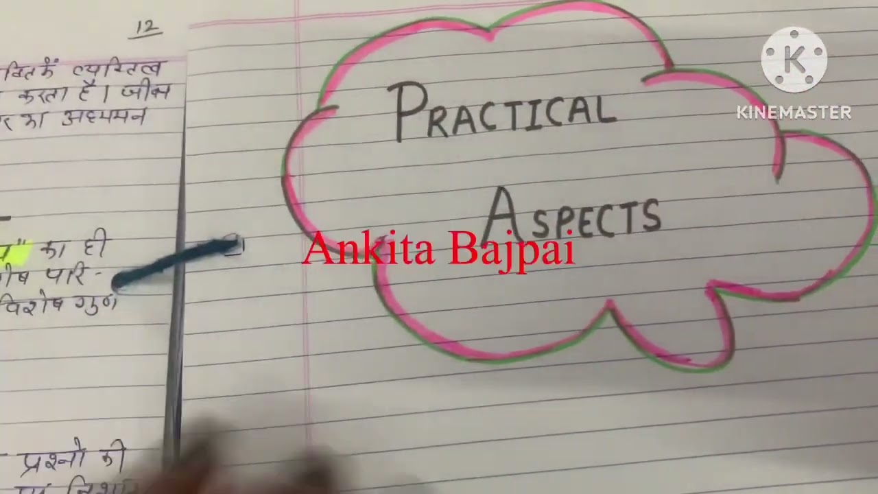 HSPQ Personality Test Practical File | in Hindi | B.Ed 1st Semester | Learn Everything