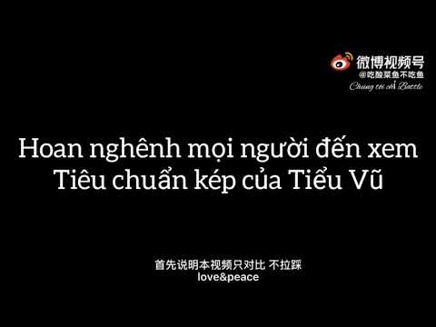 Video |HẢO ĐA VŨ| SERI TIÊU CHUẨN KÉP CỦA SANYU: TIỂU VŨ BẢO... - youtube
