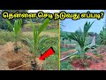      coconut planting method