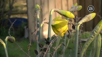 Start of Spring 2011