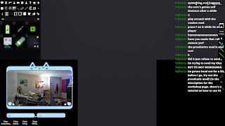 PLAYING VIOLENT VIDEO GAMES (People Playground, Paint the Town Red, etc.)