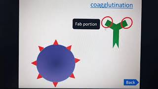 المحاضرة الخامسة  Pathogenic bacteria Lec:5 ( البكتريا المرضية) الجزء الاول