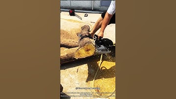 Mini Chainsaw Cutting Wood | Powerful Precision in a Small Machine 🔥