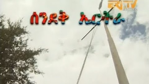 History and meaning of the Eritrean Flag