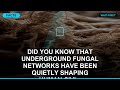Did you know that underground fungal networks have been quietly shaping human civi... #Shorts #Facts