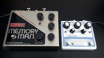 DOD Rubberneck vs Electro Harmonix Deluxe Memory Man