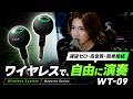 提供案件SWIFF AUDIO WT09 Maestro Series開封