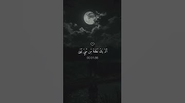 تلاوة الشيخ ماهر المعيقلي #اكسبلور #المصحف #ماهر_المعيقلي