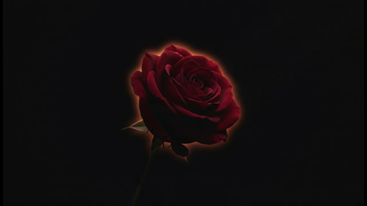 Heute schlägt die Welt für uns