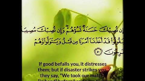 قرآن كريم بصوت" الشيخ أحمد العجمي " حالات واتساب قران