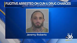 Fugitive arrested on gun and drug charges