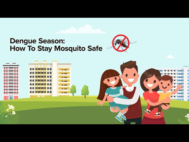 Dengue Season: How To Stay Mosquito Safe class=