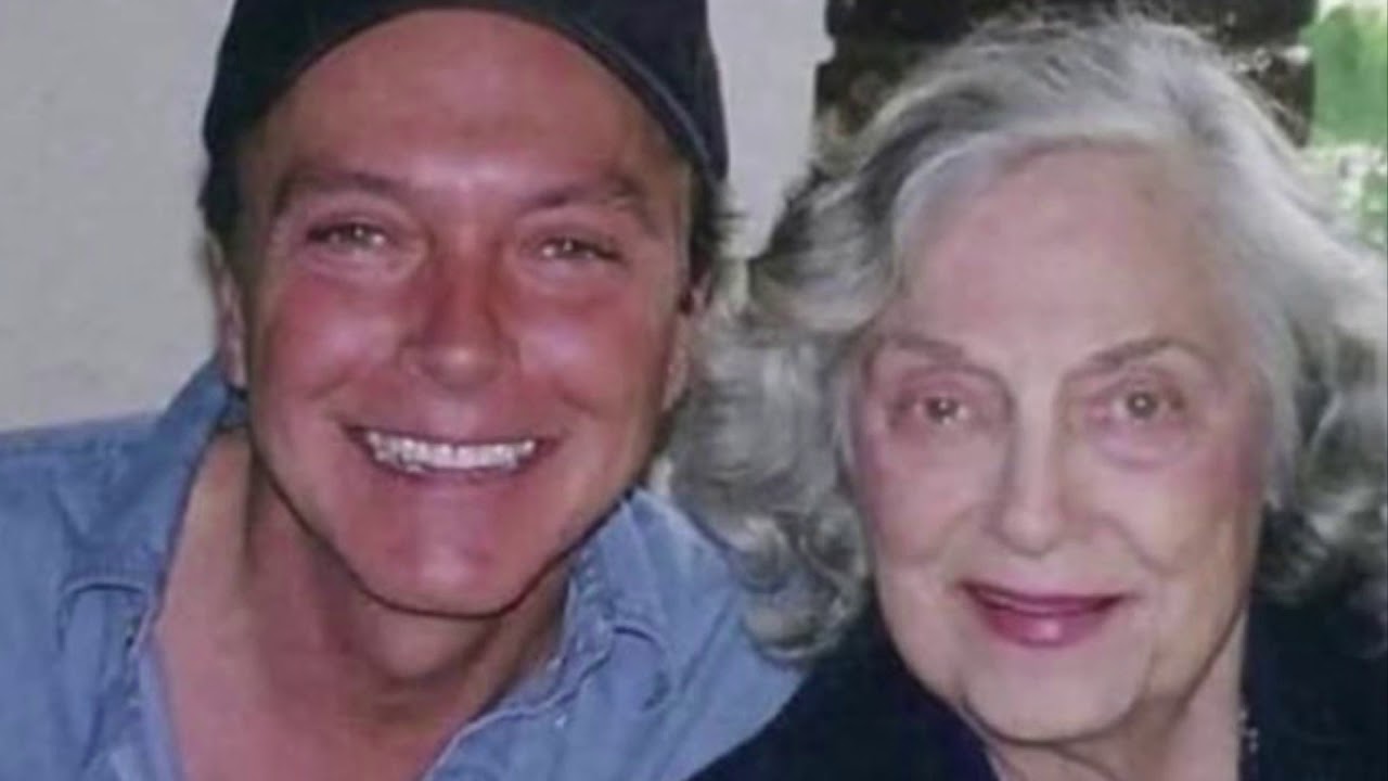 A Living Memory ~ David Cassidy