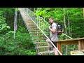 This Is A Real Airbnb *Treehouse*