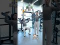 Home Dumbbell Workout: Get Gym Results Anytime, Anywhere