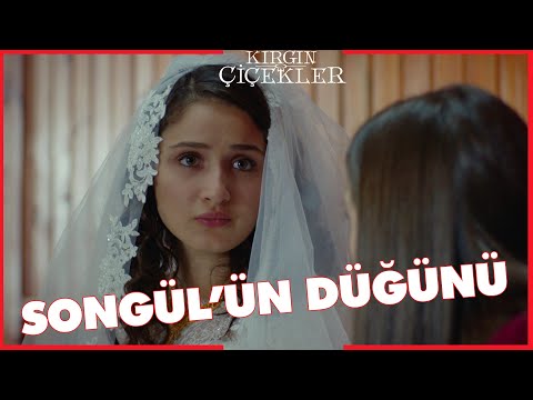 Kırgın Çiçekler Özel Kısa Bölümler | 199