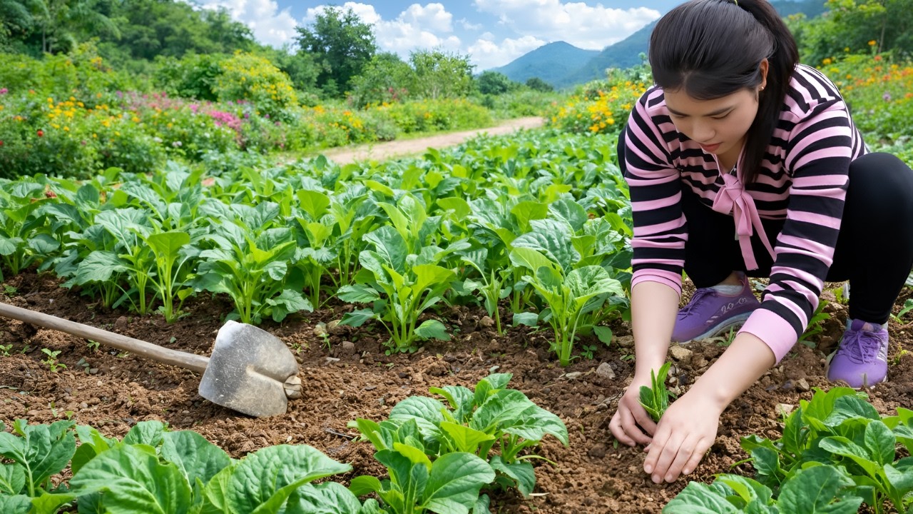Gardening, growing vegetables - Making sticky rice cakes to sell at the market with my child