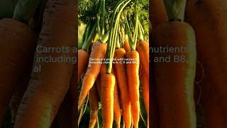Health Benefits Of Carrots #eating #facts #eatnatural #healthydiet #naturalfruit #healthyeating