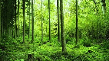 29018 | febrero | RUBIK Cía.“Web Important People” estreno 3-4 de Febrero 2018