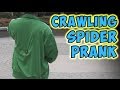 Crawling Spider Prank