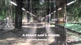 A Forest And A Tunnel - Wavesofvideos.