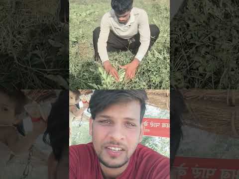 दोस्त ❌ दुश्मन ✅ ☝️😝🔥 #funny #comedy #short #shorts #trending #viralvideos #youtube