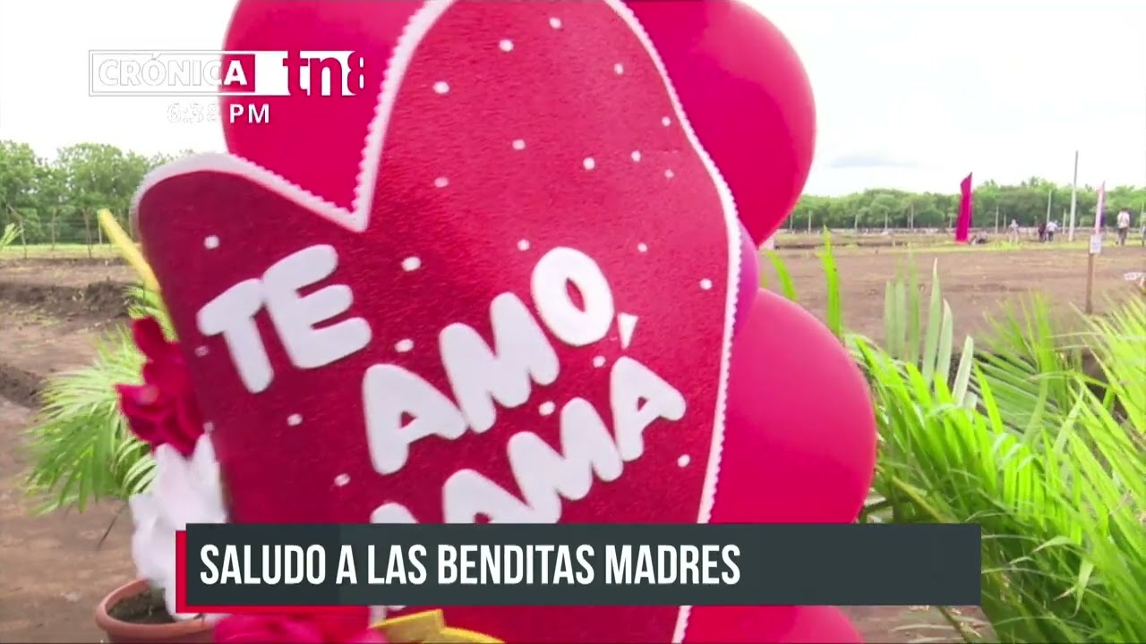 Defensa cesa al capitán que llevó a su unidad militar al Valle de los  Caídos para recibir una bendición franquista - Diario16
