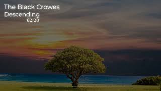 The Black Crowes - Descending